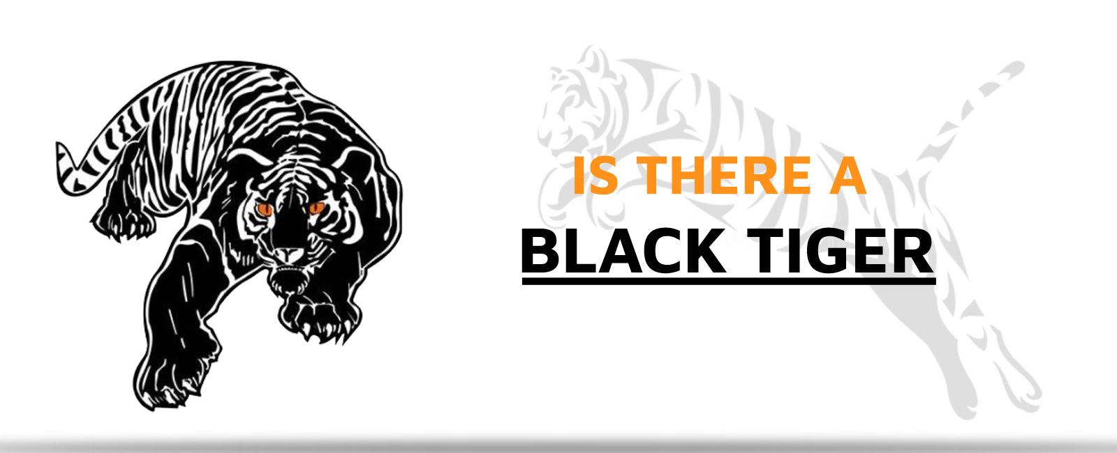Is there a Black Tiger