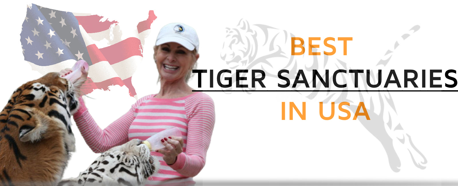 best tiger sanctuaries in usa banner
