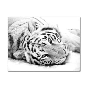 BLACK & WHITE BENGAL TIGER PAINTING Tiger-Universe