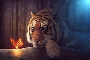 TIGER PUZZLE NIGHT SWEETNESS Tiger-Universe