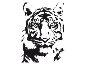WHITE PRIDE TIGER STICKER Tiger-Universe