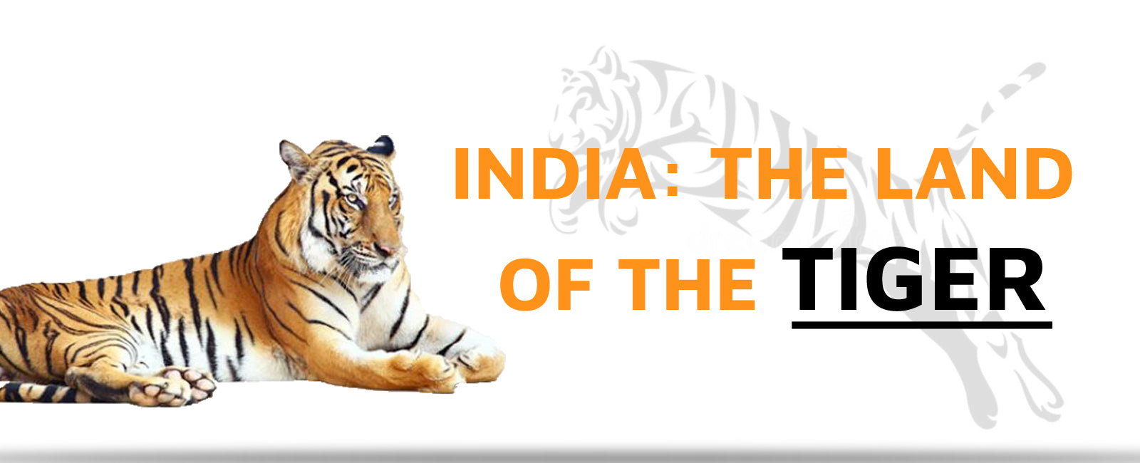 India: The Land of the Tiger