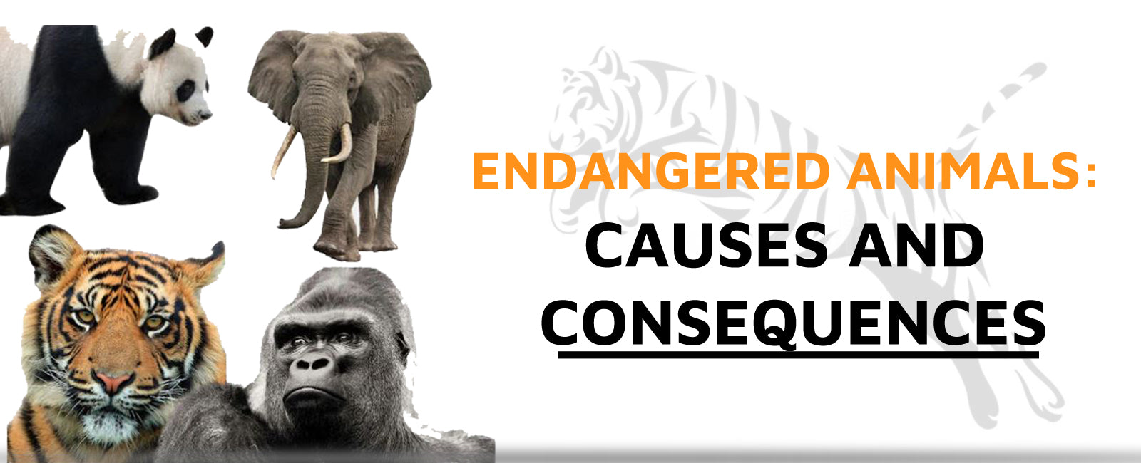 Endangered Animals: Causes and Consequences