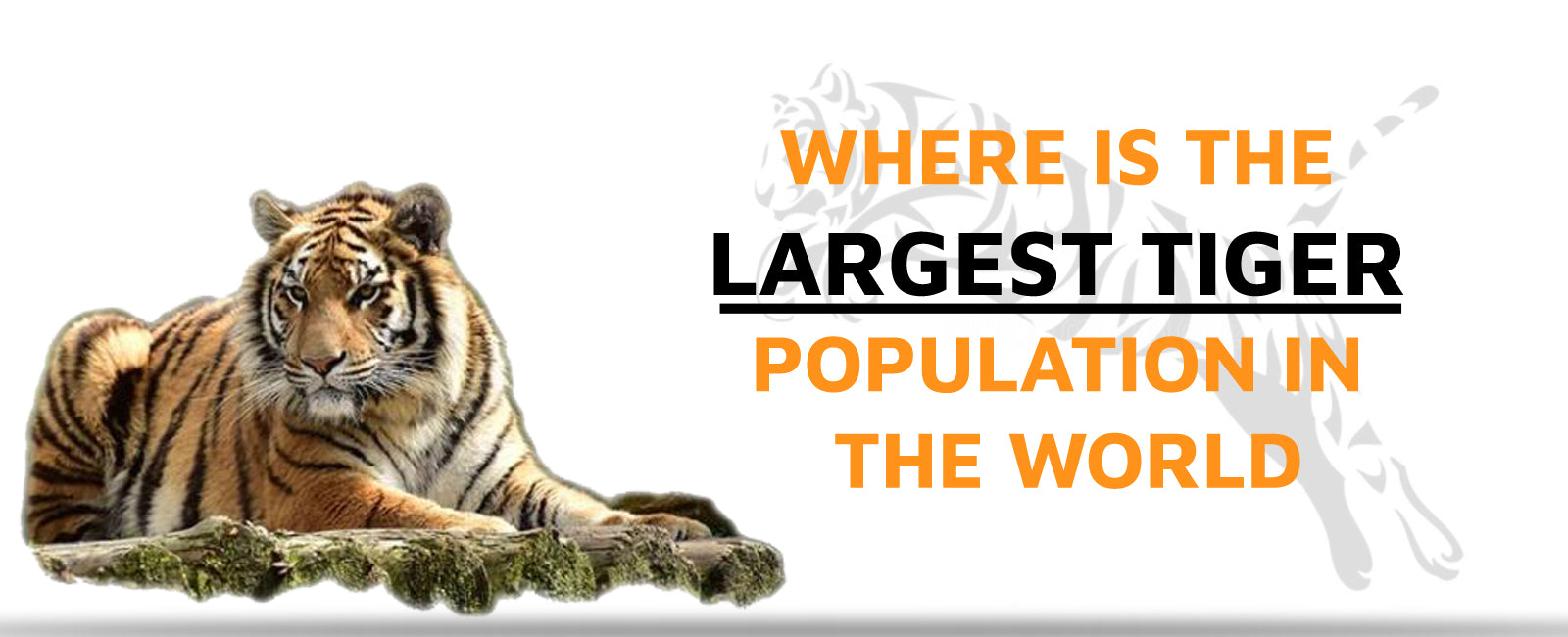 Where is the Largest Tiger Population in the World