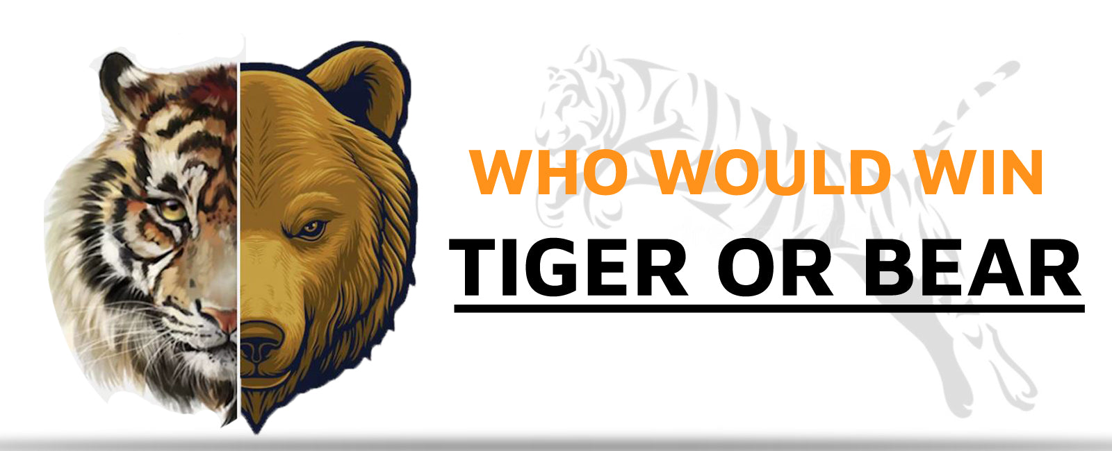 Who Would Win Tiger or Bear?