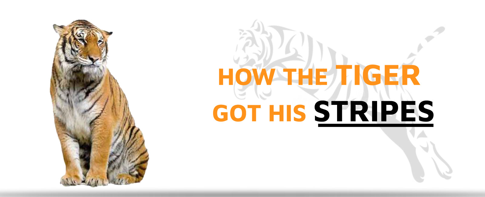 How the Tiger got his Stripes