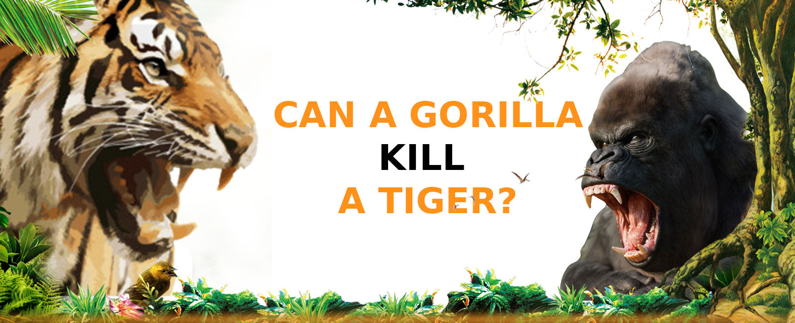 Can a Gorilla kill a Tiger