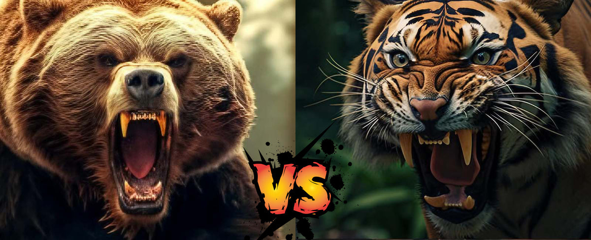 Can a tiger beat a grizzly bear ? Clash of the Titans ! - Tiger-Universe