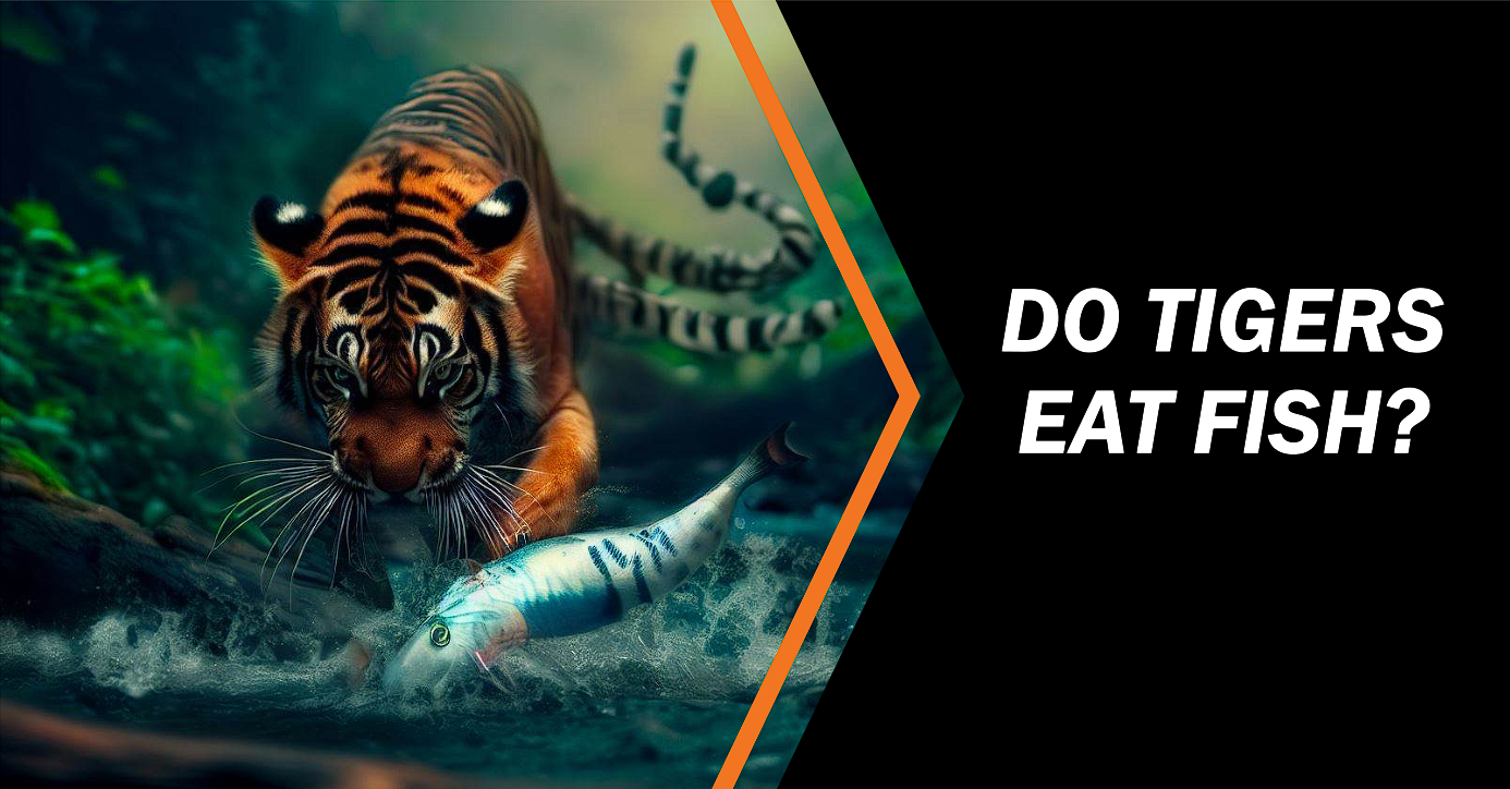  Do Tigers Eat Fish ?