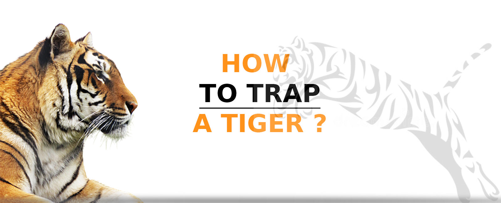 how to trap a tiger