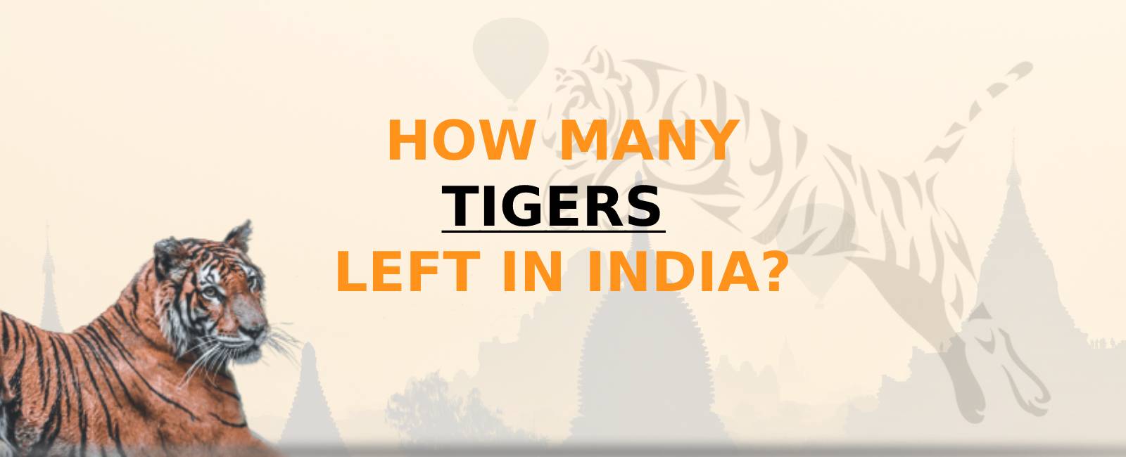 How Many Tigers Left in India?
