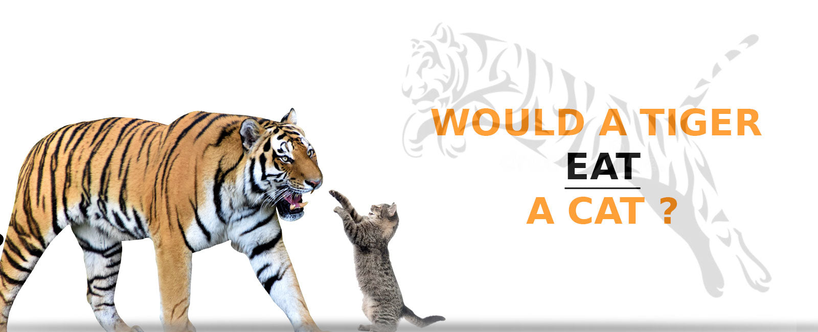 Would a Tiger Eat a Cat?