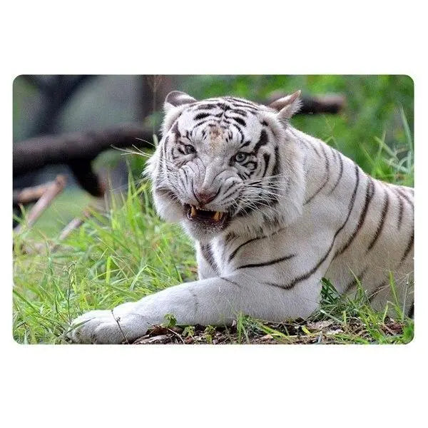 CARPET SMALL WHITE TIGER Tiger-Universe