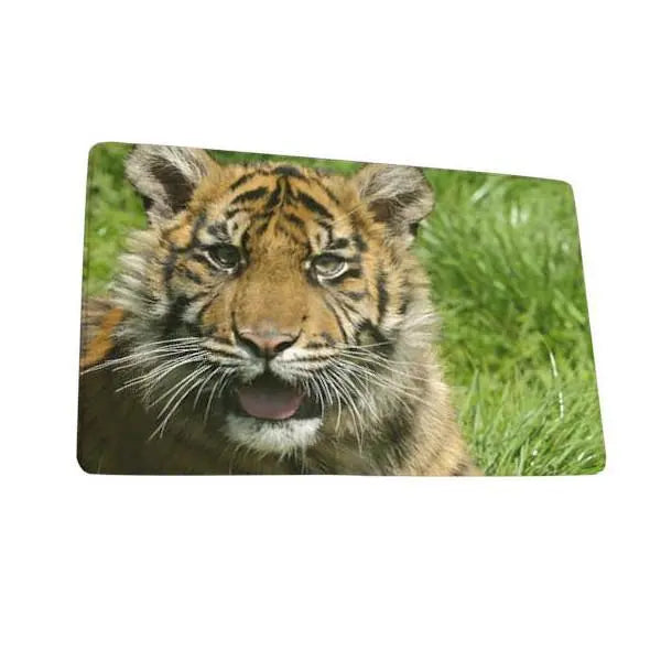 CUTE CUB TIGER CARPET Tiger-Universe