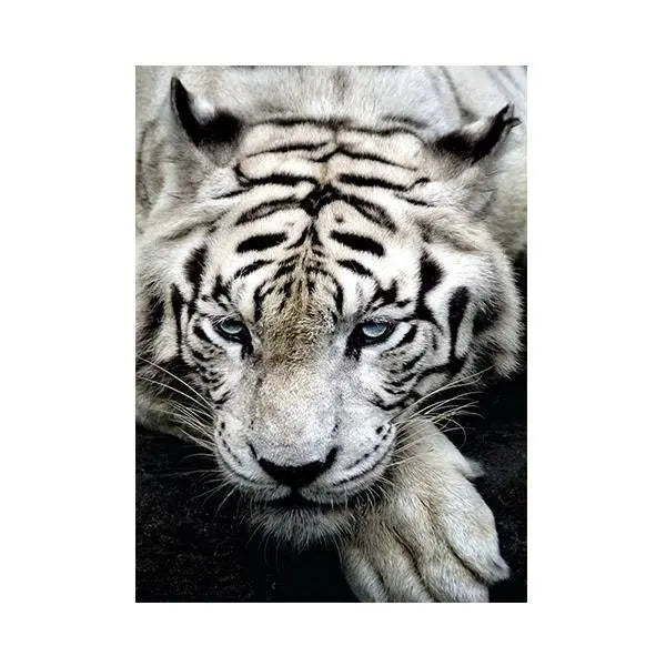 OLD TIGER PAINTING Tiger-Universe