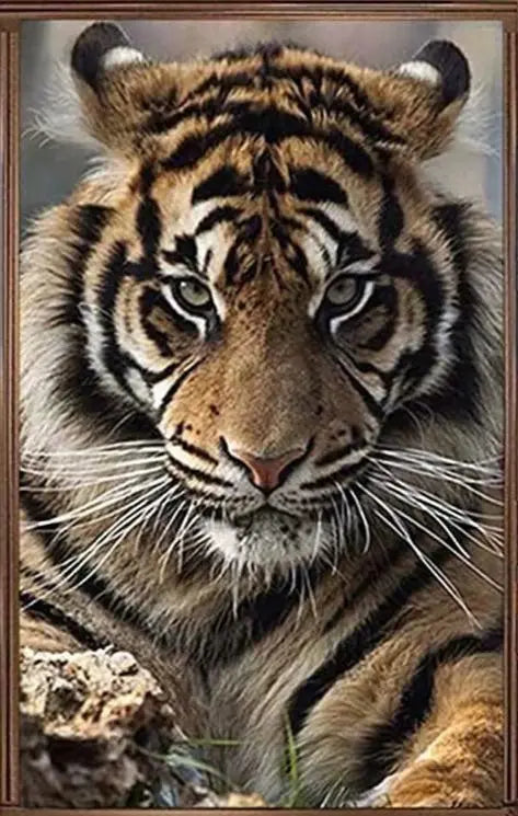 PAINTING KING OF TIGERS Tiger-Universe