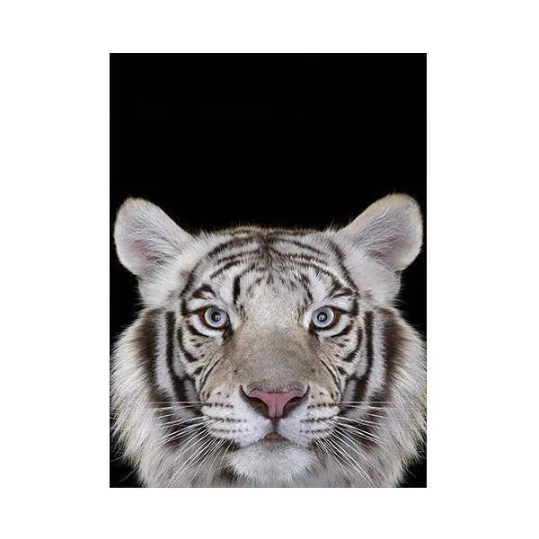 PAINTING PORTRAIT OF THE TIGER Tiger-Universe