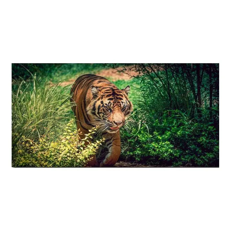 PAINTING TIGER OF THE JUNGLE Tiger-Universe