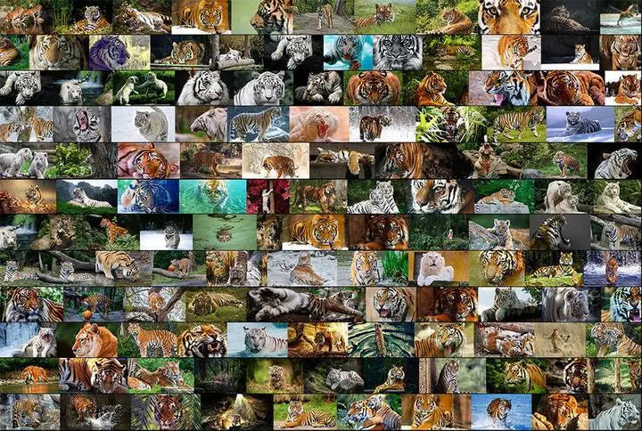 PHOTOMOSAIC PUZZLE TIGER Tiger-Universe