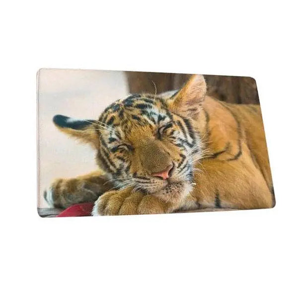 SLEEPING TIGER CARPET Tiger-Universe