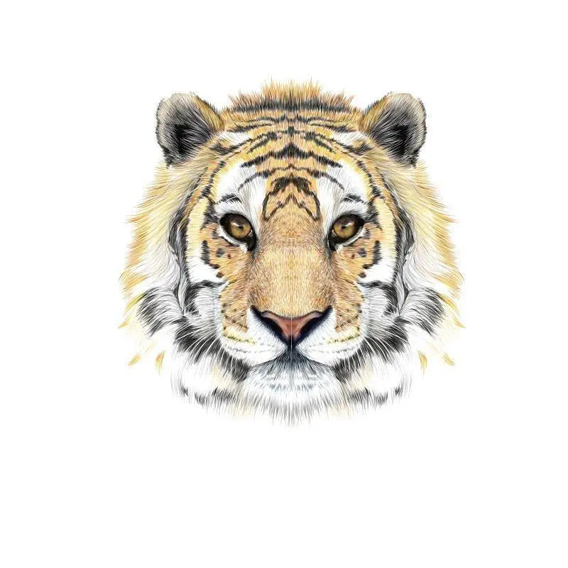 SMALL TIGER PATCH Tiger-Universe