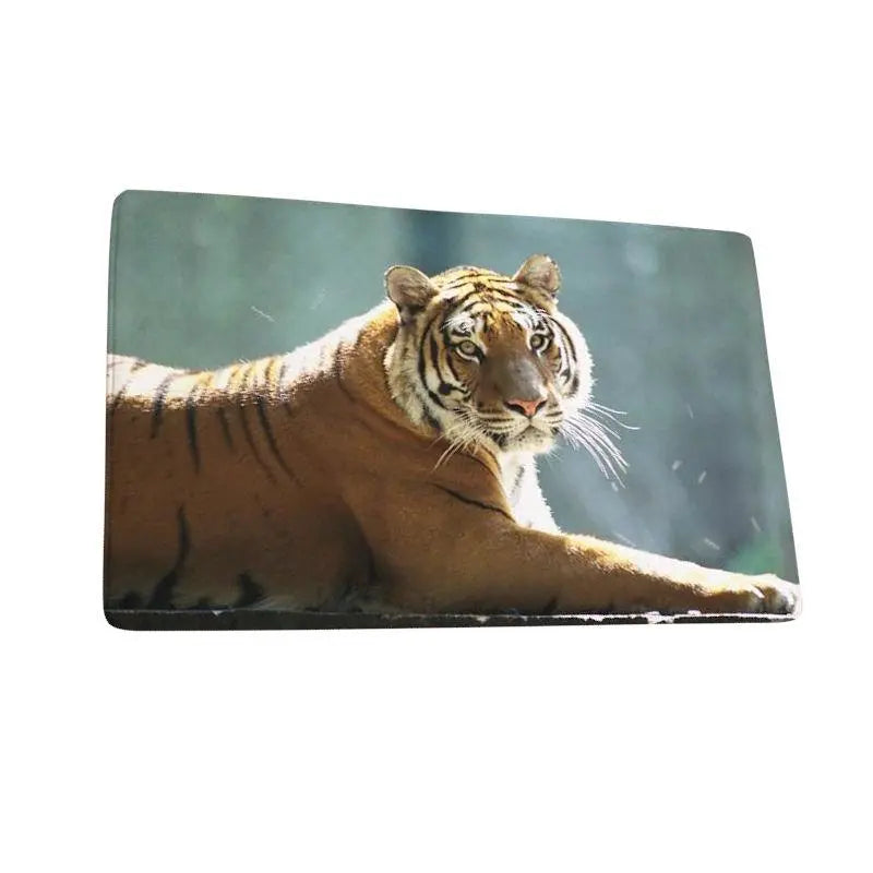 SUN TIGER CARPET Tiger-Universe