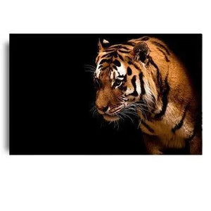 TIGER PAINTING BLACK BACKGROUND Tiger-Universe