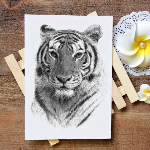 TRADITIONAL TIGER TATTOO Tiger-Universe