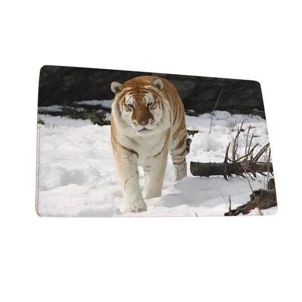 WHITE SIBERIAN TIGER RUG Tiger-Universe
