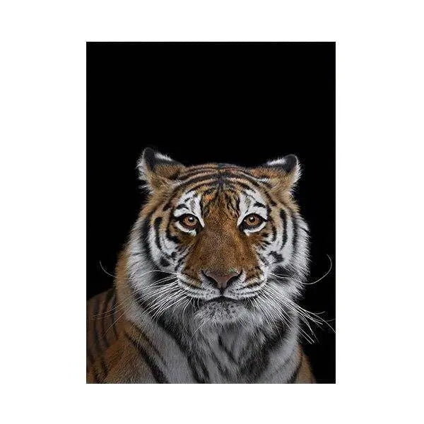 YOUNG ORIGINAL TIGER PAINTING Tiger-Universe